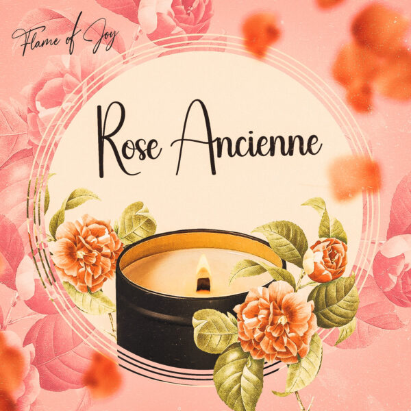 FLAME OF JOY - Rose Ancienne
